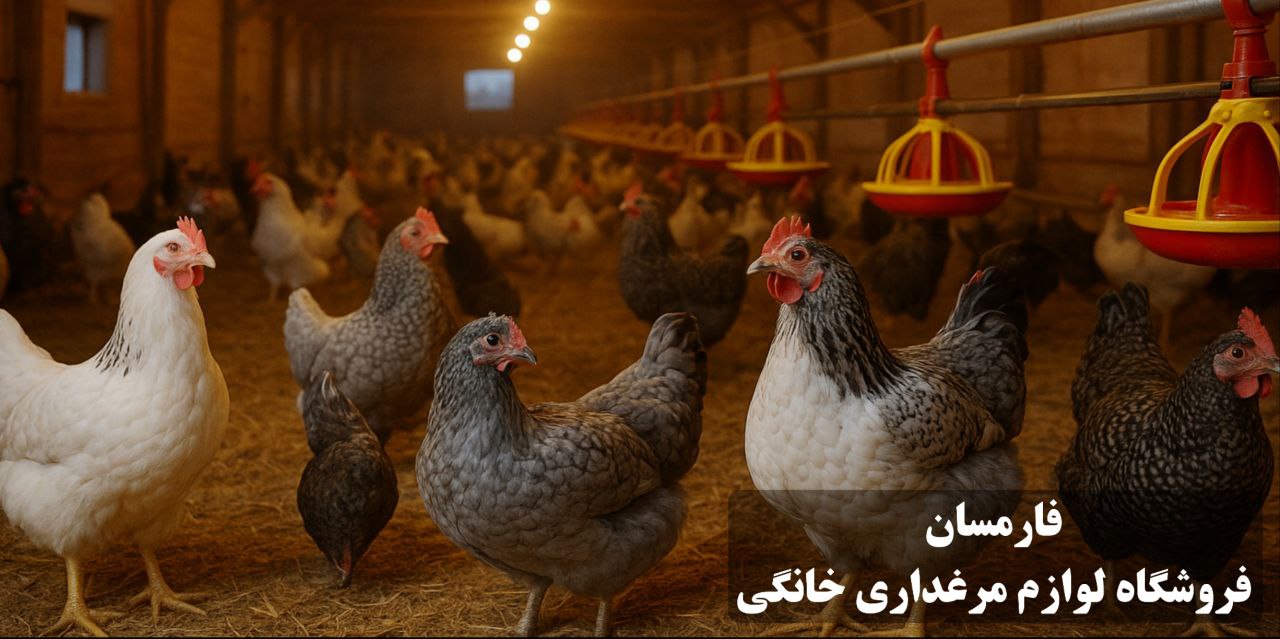 برنامه نوردهی صحیح برای سالن مرغداری تخمگذار و جوجه ها