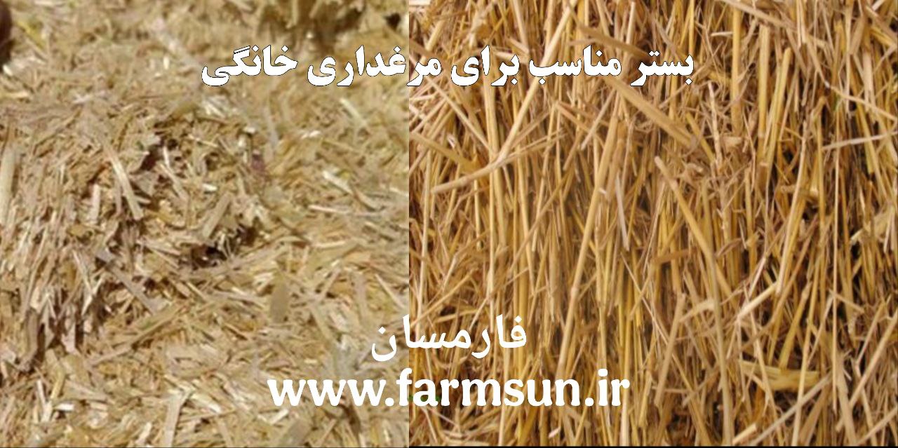 انتخاب بستر مناسب برای مرغداری خانگی پوشال چوب