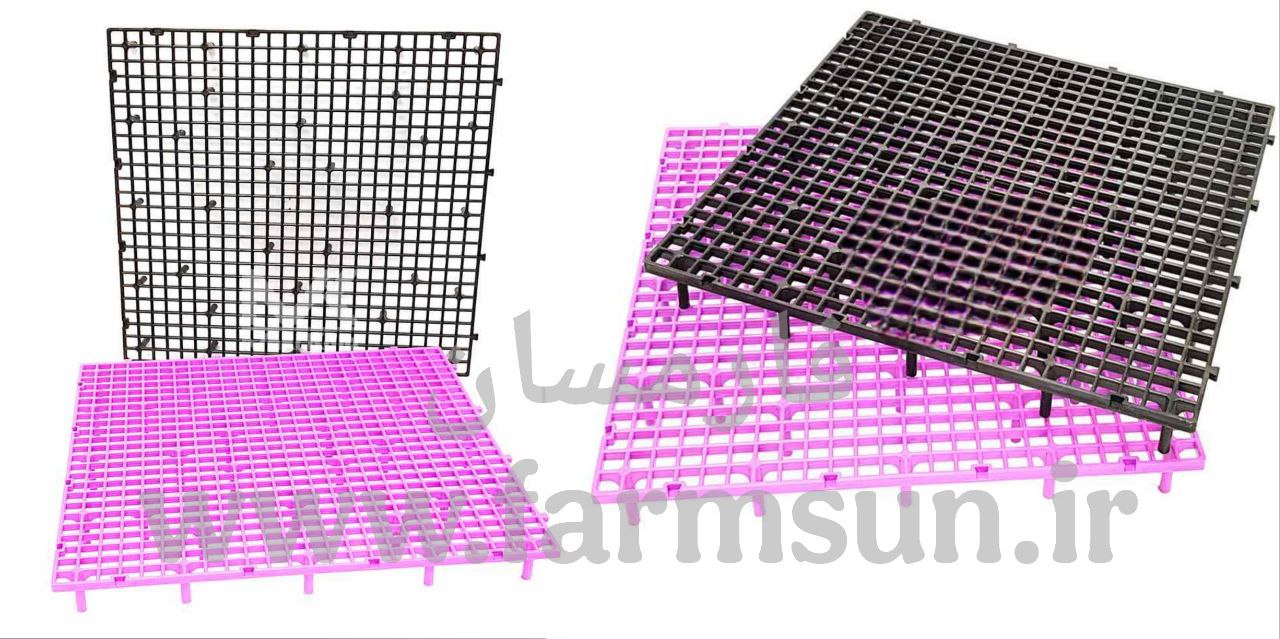 اسلت مرغداری