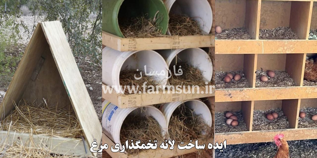 ایده ساخت لانه تخم گذاری مناسب برای مرغ