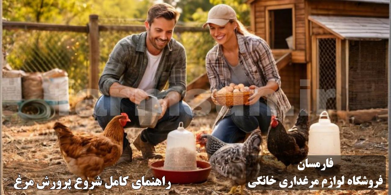راهنمای کامل شروع پرورش مرغ برای مبتدی ها