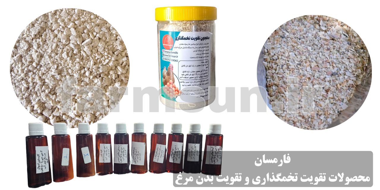 تقویت تخمگذاری در مرغ تخمگذار