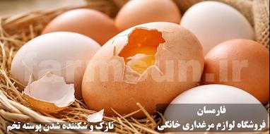 علت نازک شدن پوسته تخم مرغ و روش های اصولی ضخیم شدن آن در مرغداری خانگی