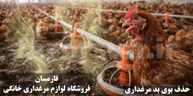 چرا سالن مرغداری بوی بد می دهد؟ (حذف بوی آمونیاک و تمیز نگه داشتن محیط مرغداری)