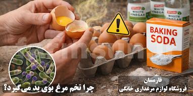چرا تخم مرغ بوی بد می دهد؟ علت و راهکارهای عملی برای تولید تخم سالم