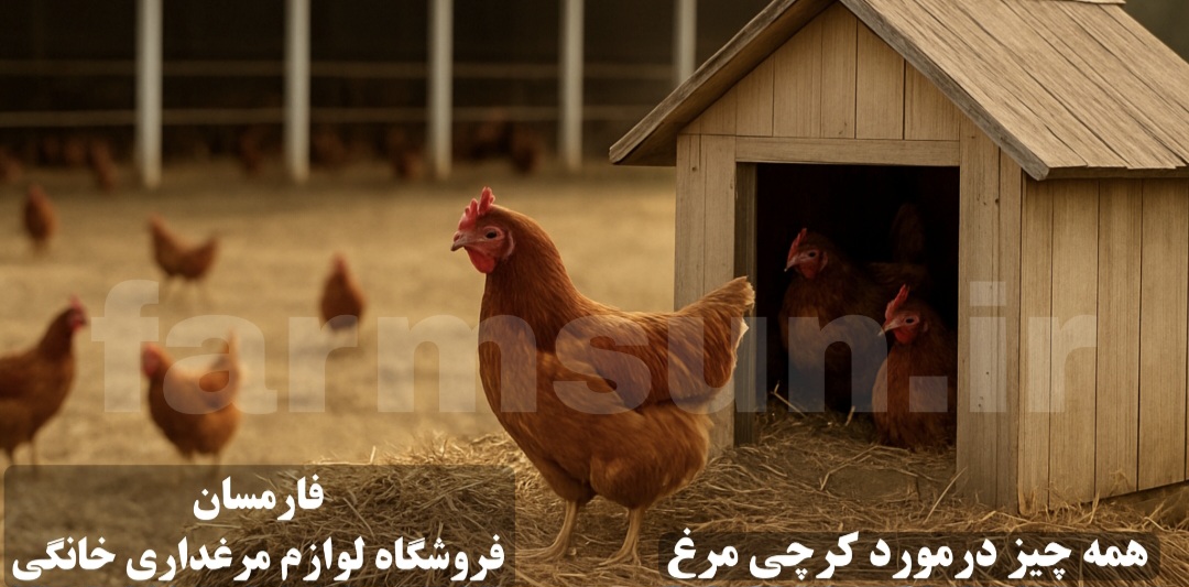 کرچ شدن مرغ 