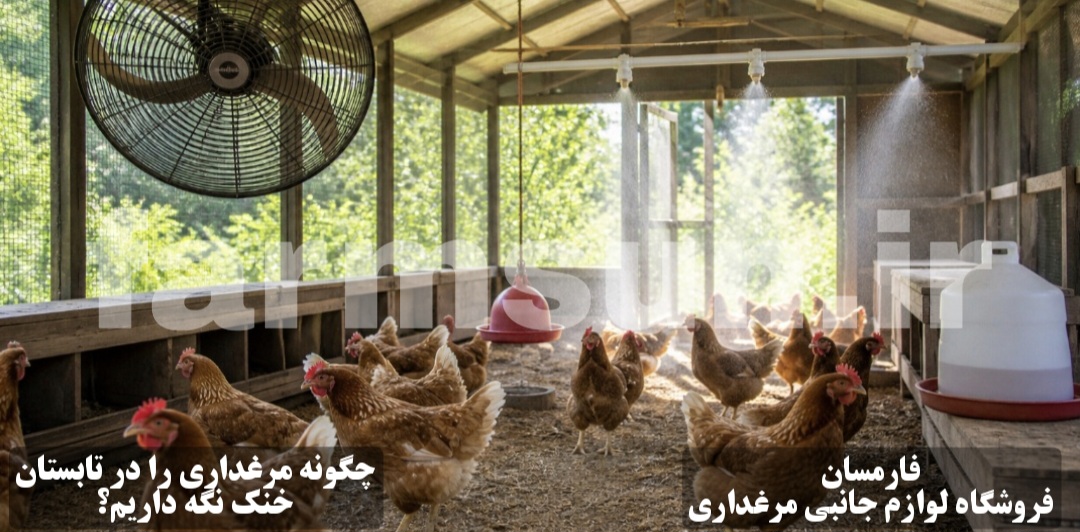 راهکار های خنک نگهداشتن مرغداری در تابستان