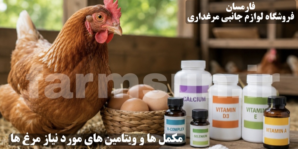 مکمل ها و ویتامین های لازم برای مرغ تخمگذار