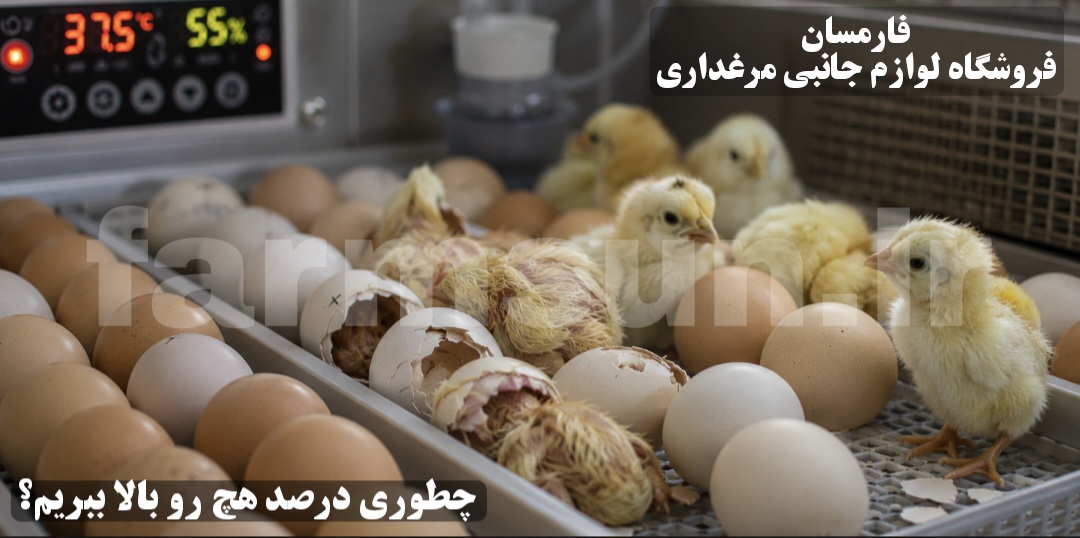افزایش درصد هچ جوجه کشی با دستگاه