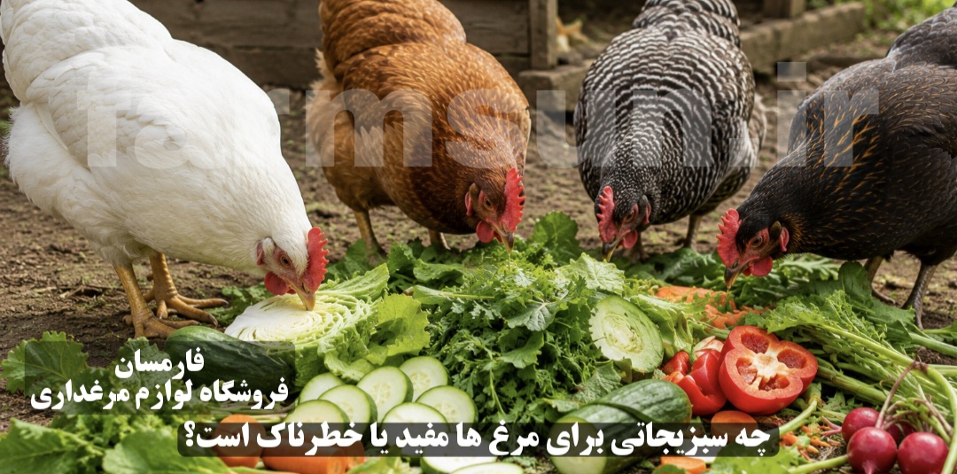 چه سبزیجاتی برای مرغ ها مفید هست؟